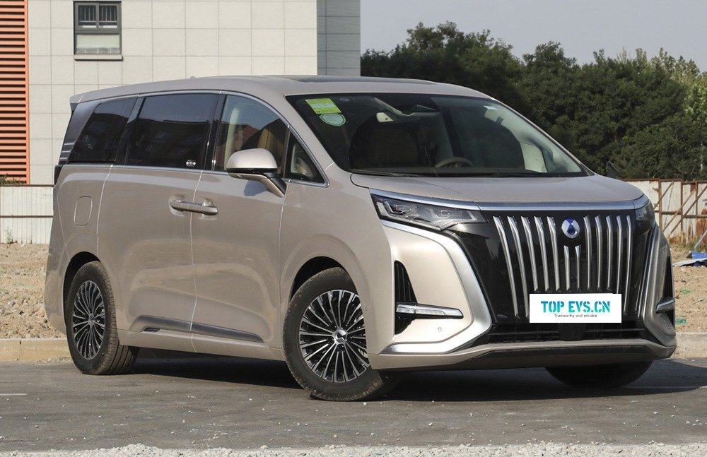 imgi_3_dzzy1 DENZA D9– For Sale From China | Chinese Ev Cars in Ethiopia - Image 1