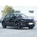 Neta X 500– Buy Direct From China |   Chinese Ev Cars in Ethiopia - Image 11